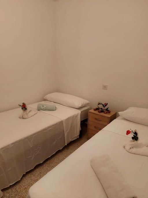 Todimer Los Cuatro Arcos Santafé 외부 사진